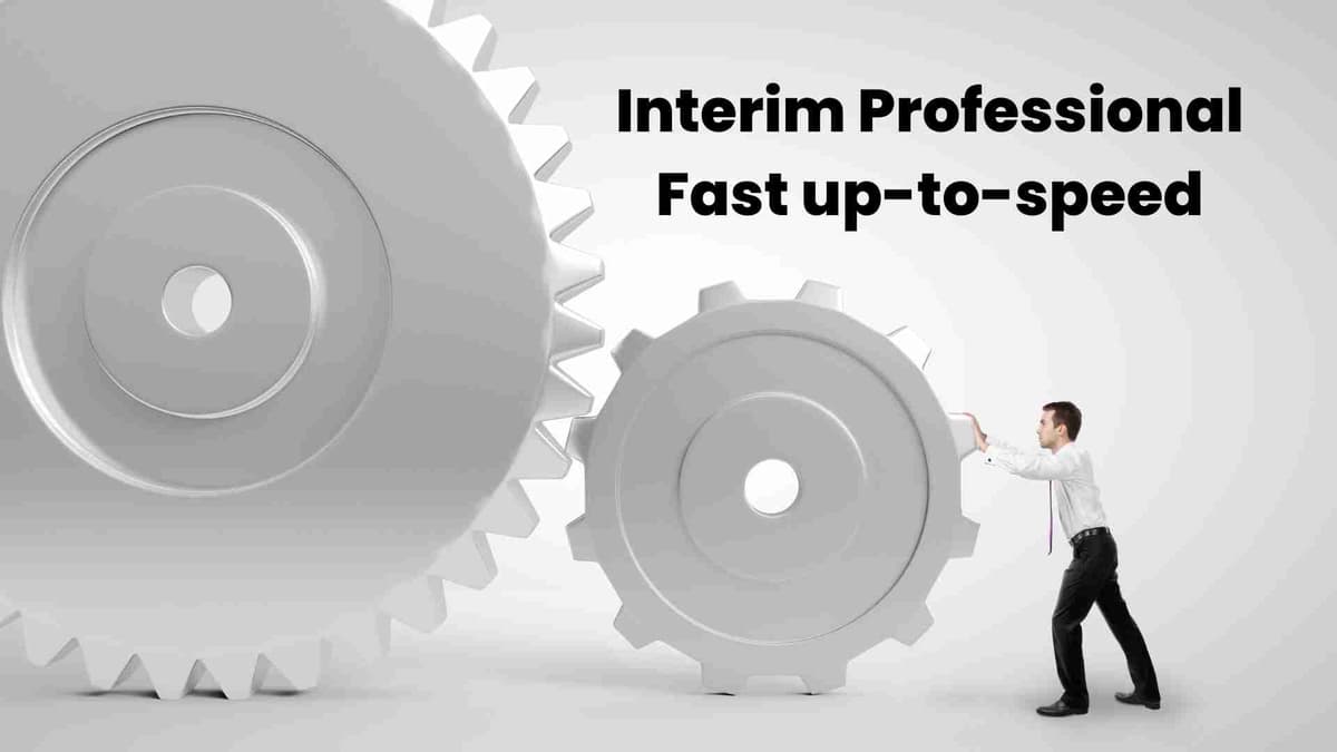 Interim Professional: Fast up-to-speed