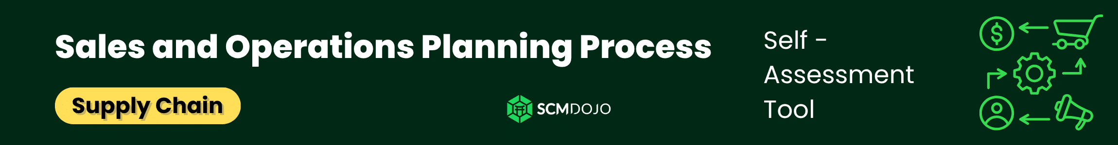 Sales and Operations Planning Process