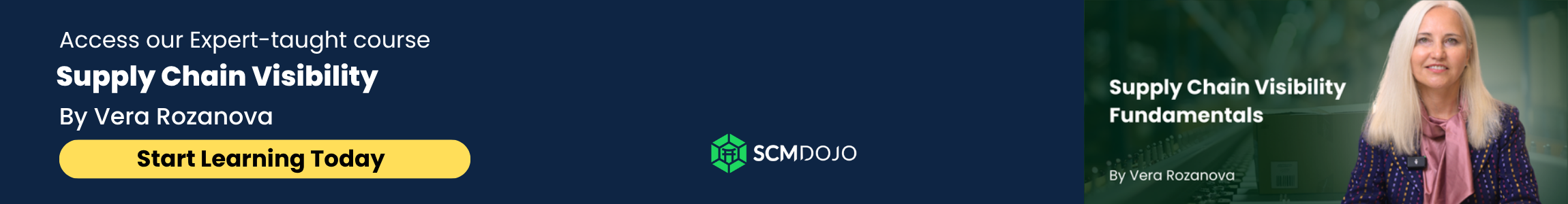 Supply Chain Visibility Fundamentals