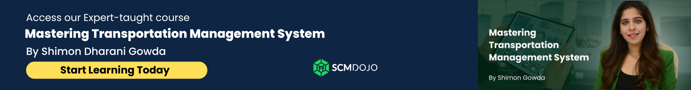 Mastering Transportation Management System